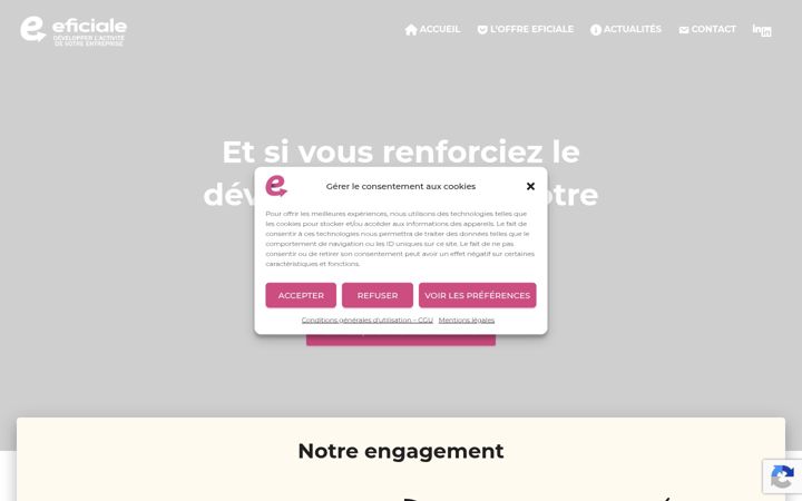 Screenshot of eficiale.com