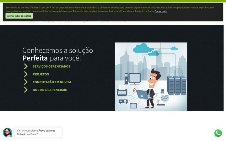 Screenshot von eficienti.com.br
