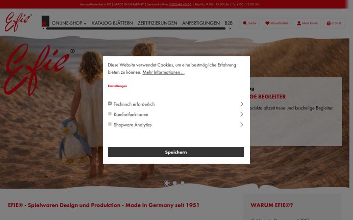 Screenshot of efie.de
