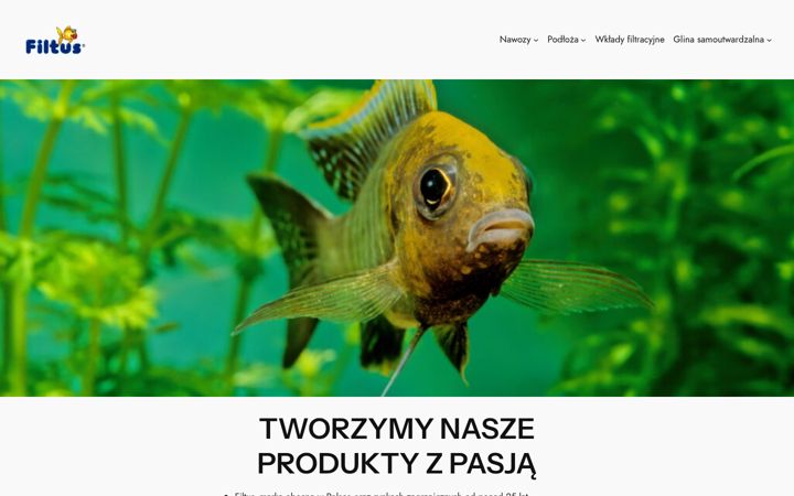 Screenshot van efiltus.pl