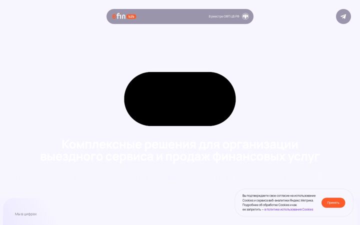 Screenshot of efin.ru