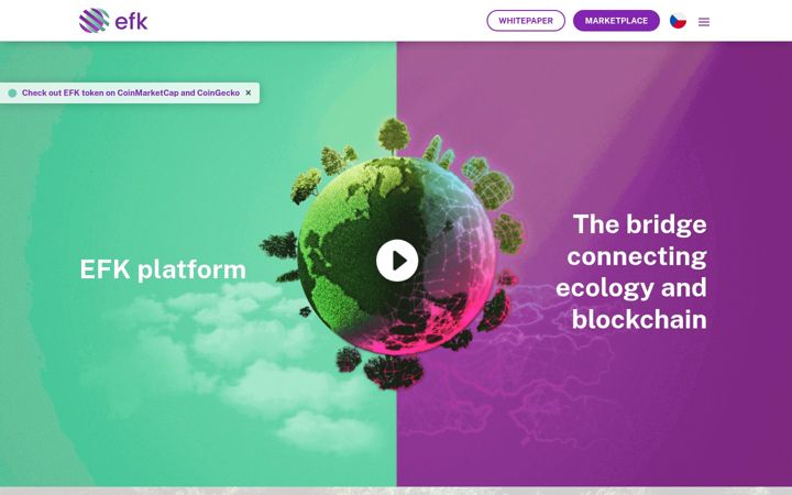 Screenshot of efkplatform.com