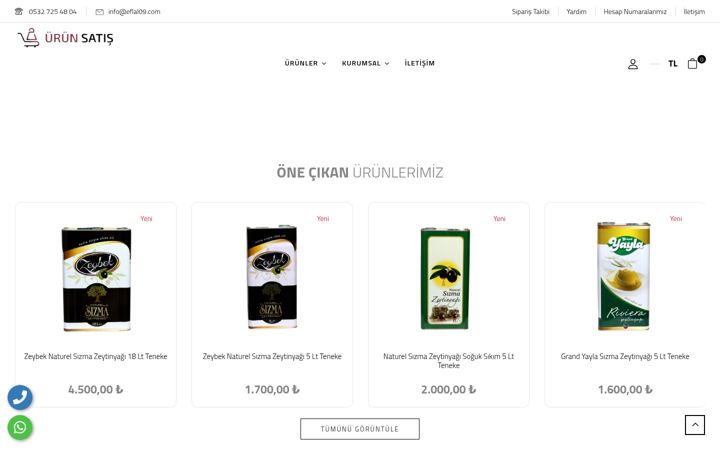 Screenshot of eflal09.com