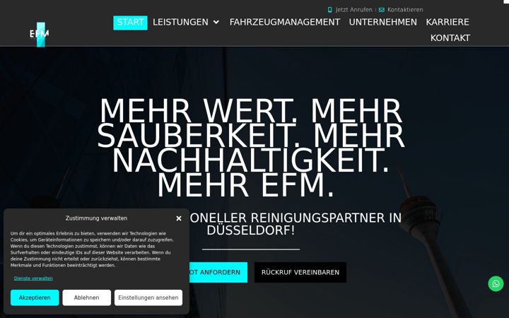 Screenshot di efm-services.de
