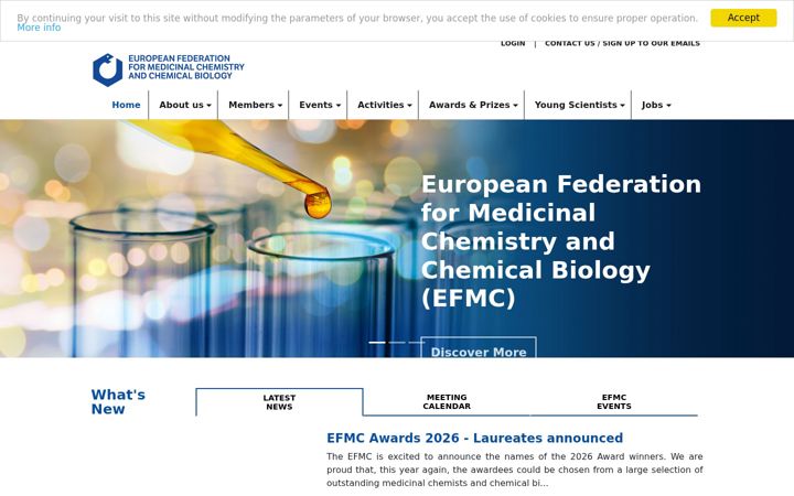 Zrzut ekranu efmc.info
