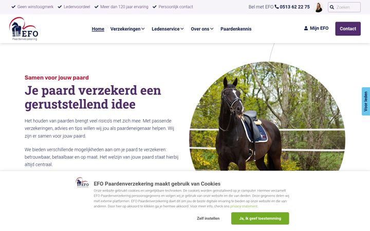 Screenshot ta' efo.nl