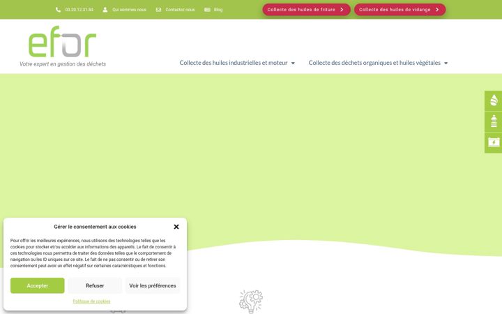 Snímek obrazovky efor-recyclage.fr