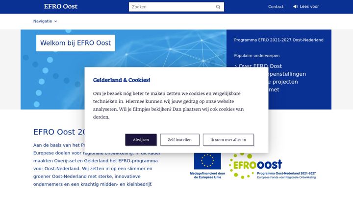 Screenshot of efro-oost.eu