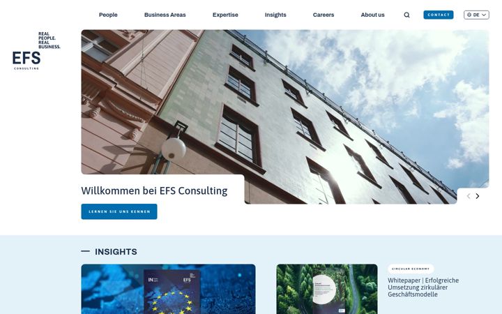 Screenshot of efs.consulting