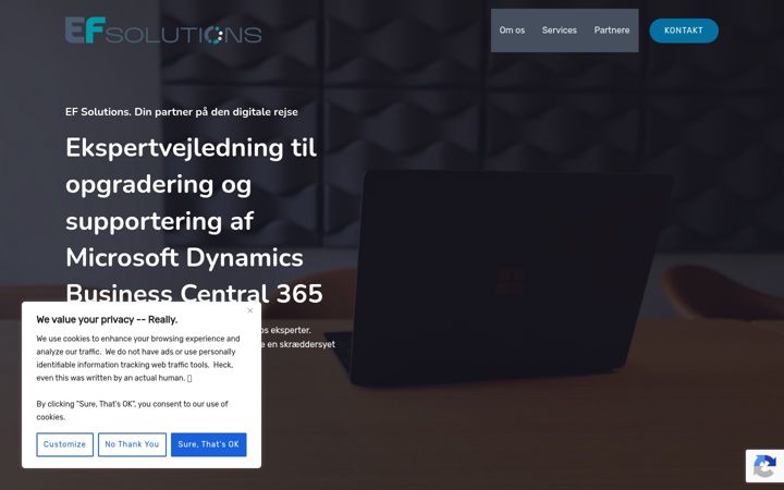 Ekraanipilt saidist efsolutions.dk