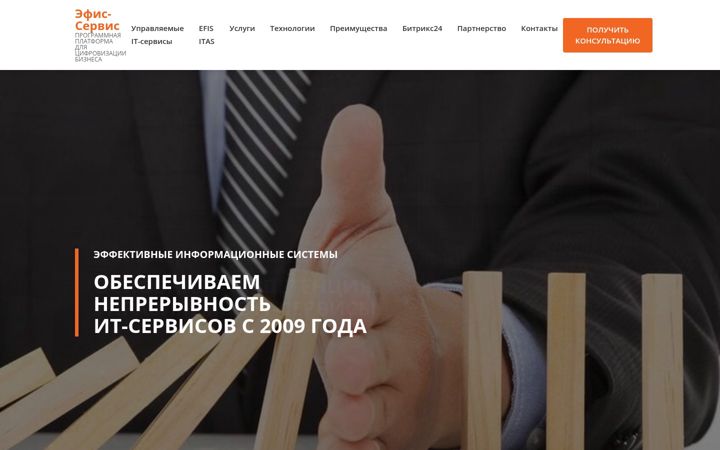 Ekraanipilt saidist efsystem.ru