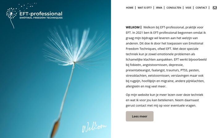 Screenshot ta' eft-professional.nl