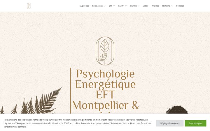 Snímek obrazovky eft-psycho-energetique.fr