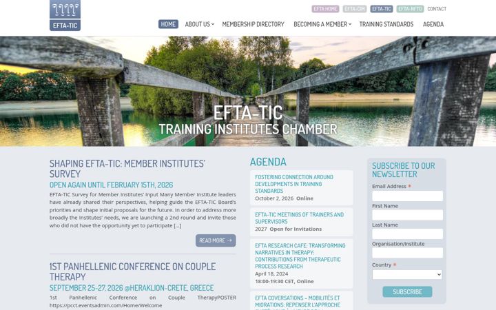 Screenshot of efta-tic.eu