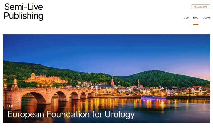 Screenshot of efu-heidelberg.de
