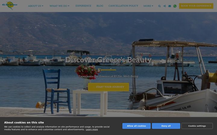Snímek obrazovky efzingreece.org