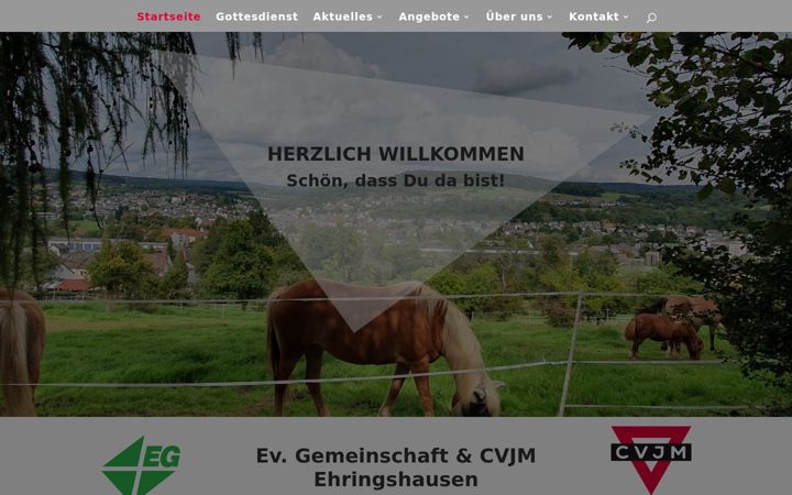 Screenshot of eg-cvjm.de