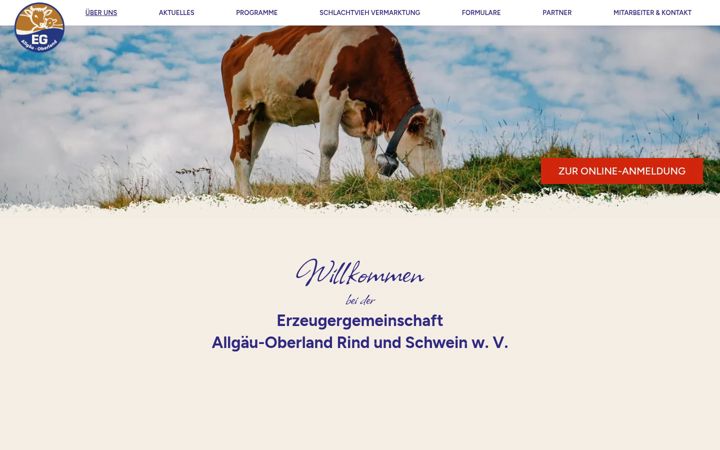 Screenshot of eg-kaufbeuren.de
