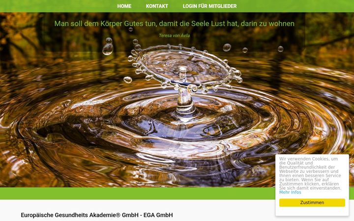 Screenshot of ega-gmbh.ch