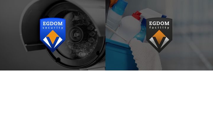 Screenshot ta' egdom-groep.nl