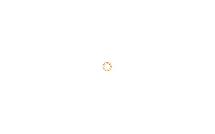 Screenshot ta' egdom-security.nl