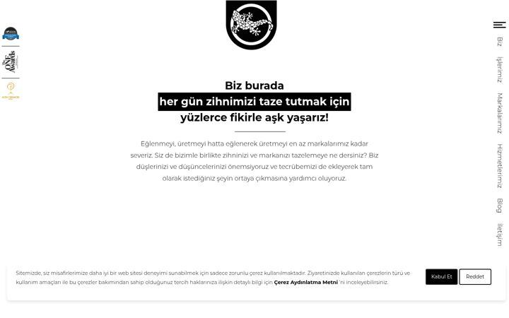 Screenshot of egegen.com