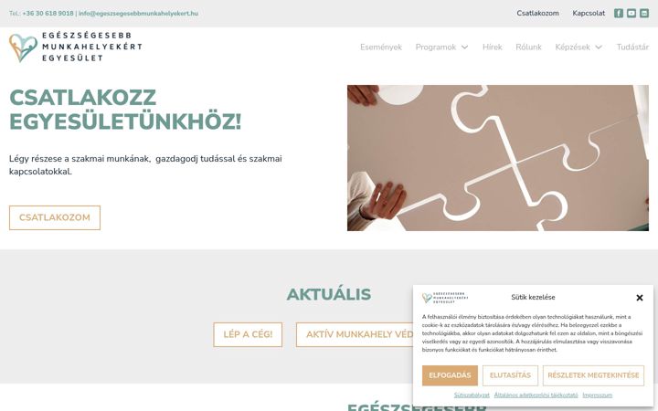 Screenshot ta' egeszsegesebbmunkahelyekert.hu