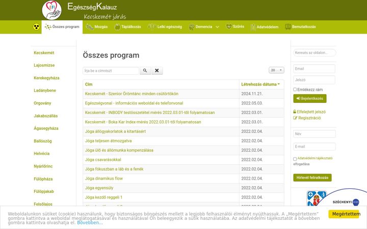 Screenshot ta' egeszsegkalauzkecskemet.hu