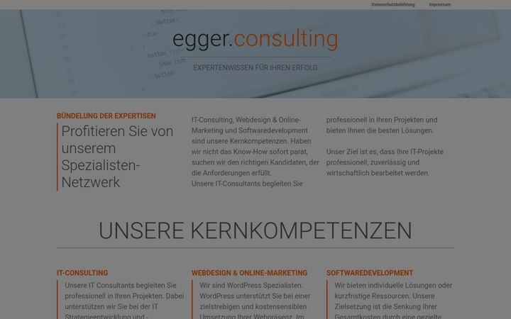 Screenshot of egger.consulting