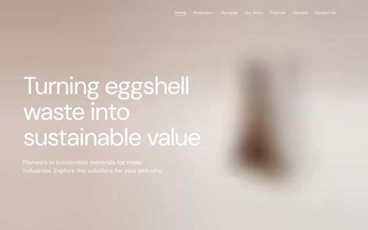 Screenshot ta' eggxpert.nl