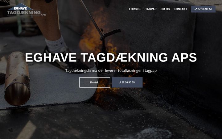 Screenshot of eghavetag.dk