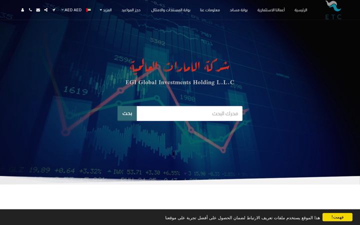 Screenshot of egihold.com