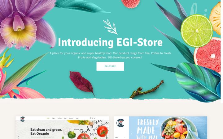 Ekrānuzņēmums no egitech.co.uk
