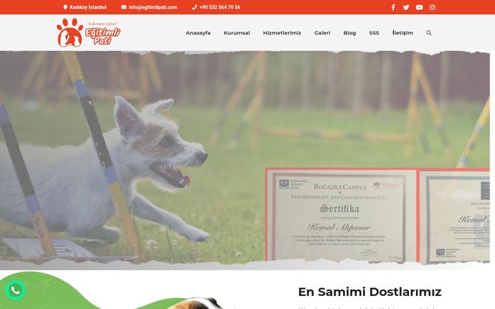 Screenshot of egitimlipati.com