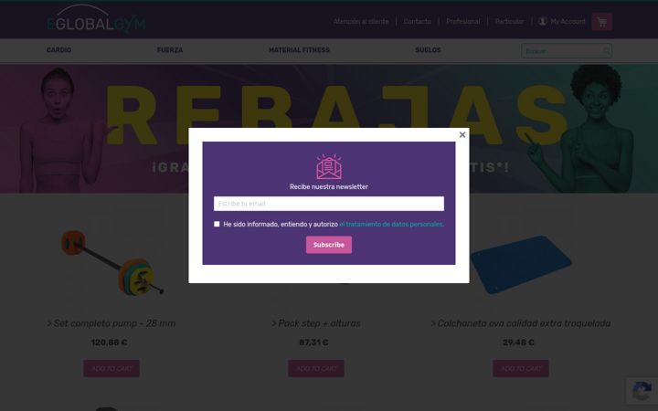Screenshot of eglobalgym.es