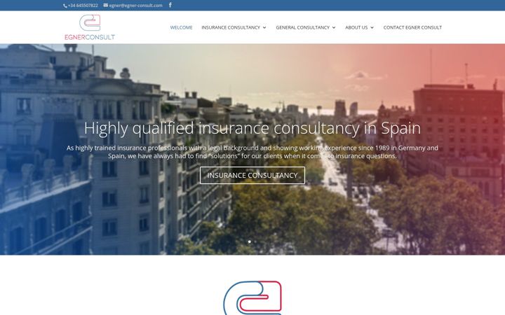 Screenshot of egner-consult.com