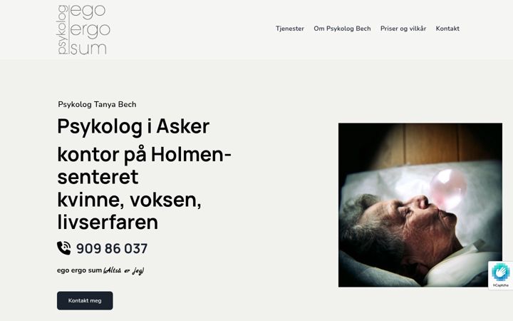 Screenshot of egoergosum.no