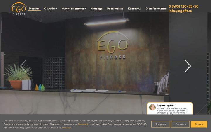 Snimka zaslona za egofit.ru