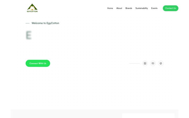 Screenshot of egycotton-eg.com