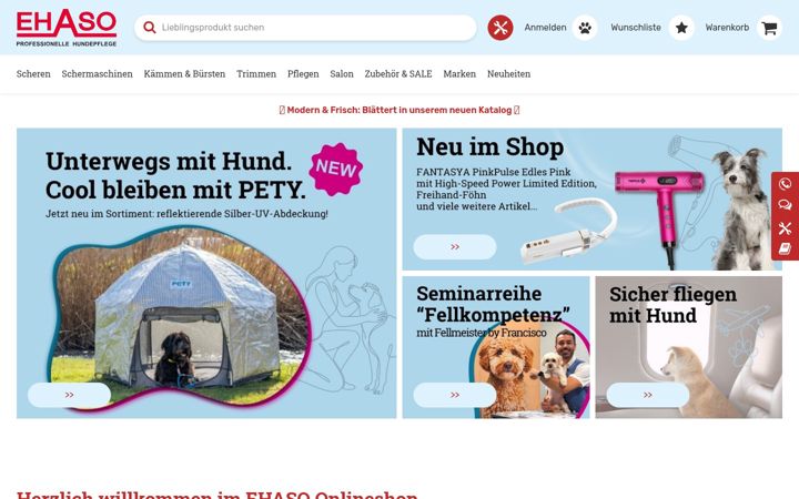 Zrzut ekranu ehaso.de