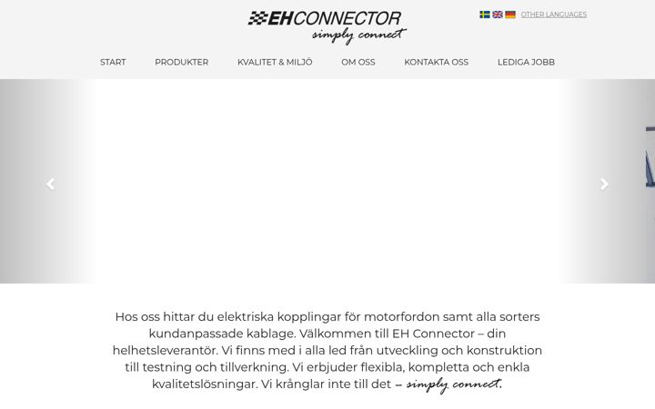 Screenshot of ehconnector.se