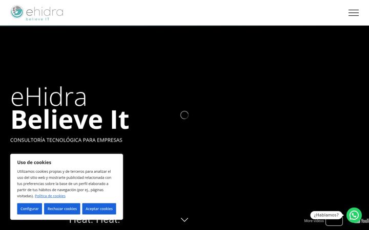 Screenshot of ehidra.com