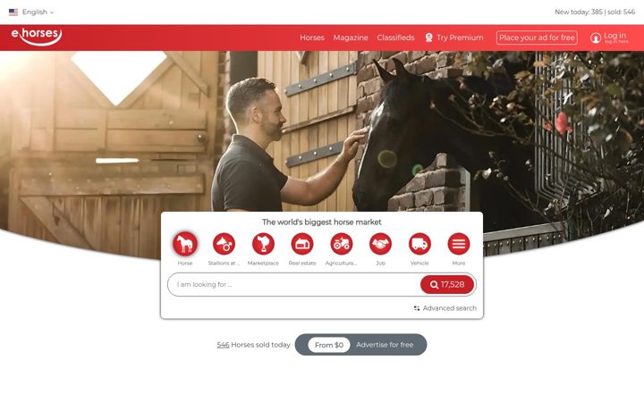 Screenshot of ehorses.com