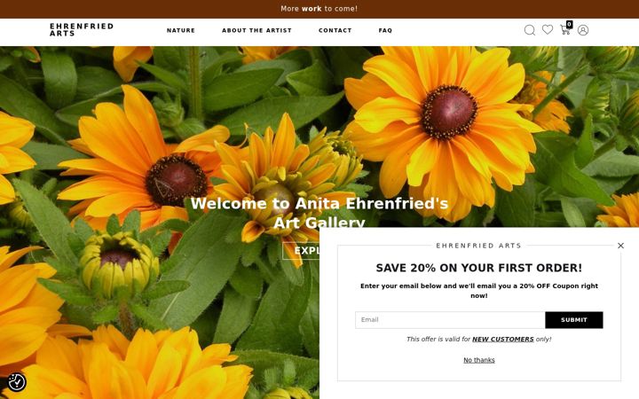 Screenshot of ehrenfriedarts.com