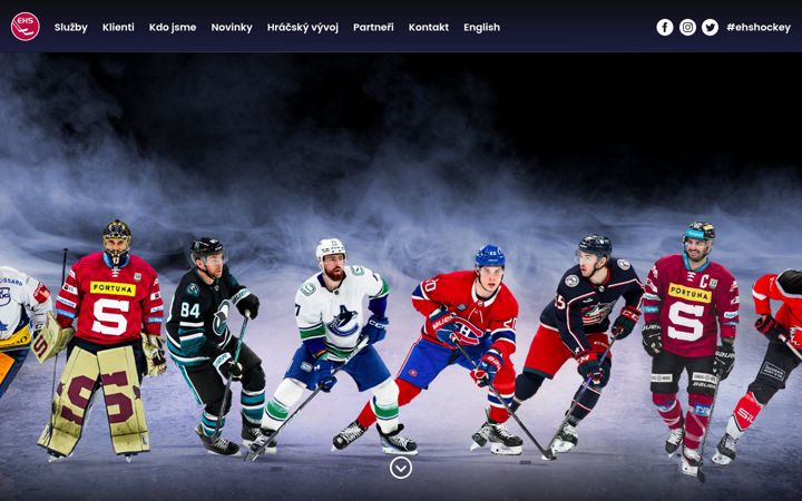 Screenshot of ehshockey.com
