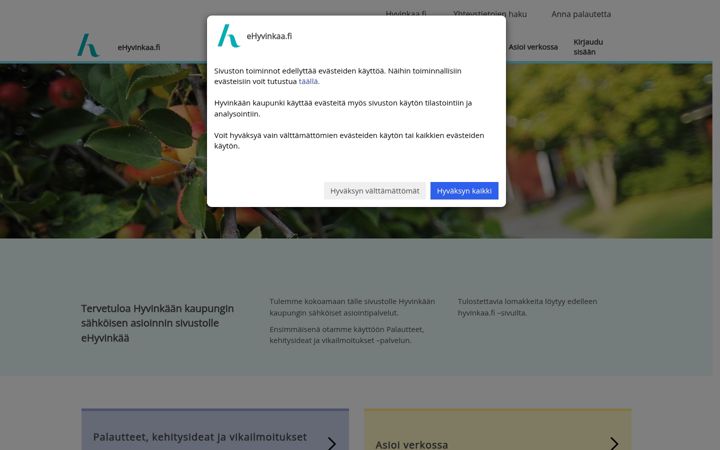 Screenshot of ehyvinkaa.fi