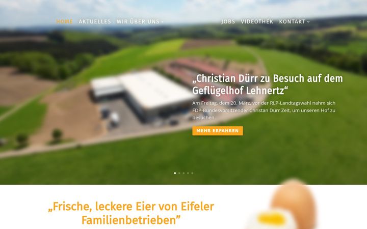 Screenshot of ei-fel.de