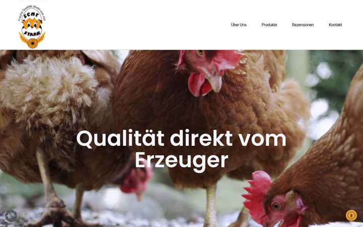 Screenshot of ei-stark.de