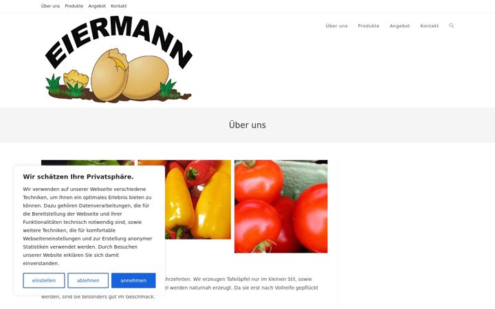 Snímek obrazovky eiermann-kost.at