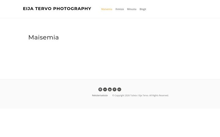 Screenshot of eijatervo.com